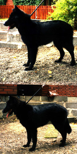 FutureHope12.08.1995-6kk.jpg (132666 bytes)