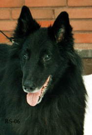 HocusPocus25.02.2006-10v.head6.jpg (28473 bytes)