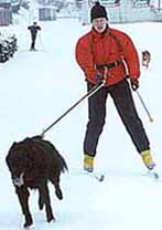HolyHonestyVeto2001.1.JPG (11874 bytes)