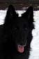 HotHeart25.02.2006-10v.9.jpg (6408 bytes)