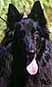HumptyDumptyJuly2001head.JPG (6761 bytes)