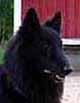 JackpotJack16.8.2004-7v7kk.head.jpg (7244 bytes)