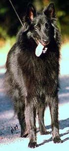KillingKarisma5.JPG (22476 bytes)