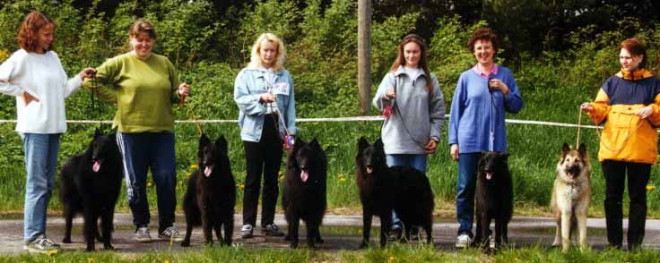 LPuppiesMeeting.JPG (44997 bytes)