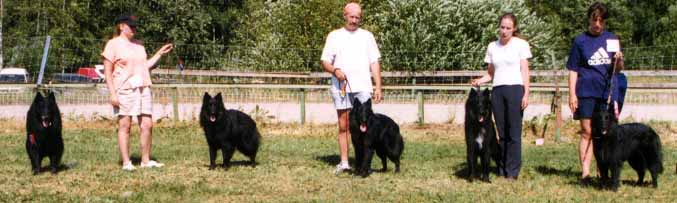 MLitterMeeting.JPG (31930 bytes)