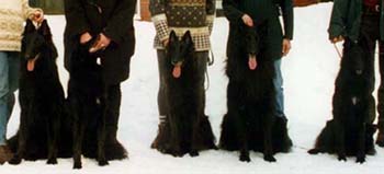 NewNiceNorthDollarTidy.JPG (24953 bytes)