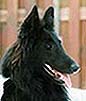 NewSmile000.JPG (25937 bytes)