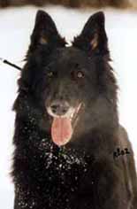 NortherQueen13.02.2002-3v8kk.JPG (10657 bytes)
