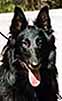 NortherQueen2000.JPG (8256 bytes)