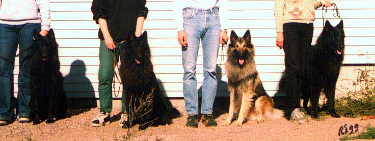 OpuppiesBoys.JPG (46793 bytes)