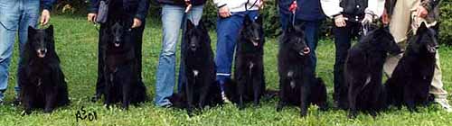 P-Meeting.08.09.2001.2.JPG (18370 bytes)