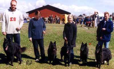 Q.pentutapaaminen10.05.2003.JPG (22204 bytes)