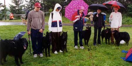 R-Gr.pentutapaaminen05.07.2003-17,5kk.JPG (37160 bytes)