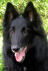 RealLady02.07.2007-Ralla5v5kk.little.head.jpg (22991 bytes)
