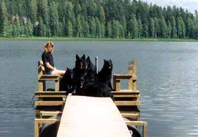 RitvaMiladyFrenchyDogs17.07.1993.JPG (25089 bytes)