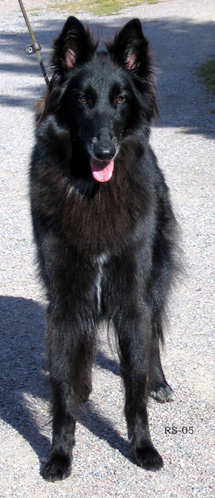RoyalLady11.09.2005-Ronja.3v8kk.3.jpg (112689 bytes)
