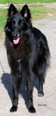 RoyalLady11.09.2005-Ronja.3v8kk.5.jpg (49823 bytes)