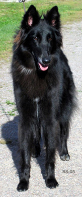 RoyalLady11.09.2005-Ronja.3v8kk.6.jpg (50958 bytes)
