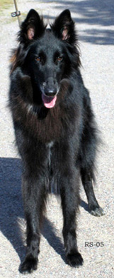 RoyalLady11.09.2005-Ronja.3v8kk.7.jpg (52069 bytes)