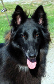 RoyalLady11.09.2005-Ronja.3v8kk.head.2.jpg (39631 bytes)