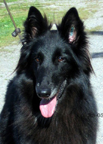 RoyalLady11.09.2005-Ronja.3v8kk.head.jpg (41412 bytes)