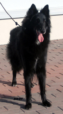 RoyalLady25.03.2007-5v2kk.Ronja2.jpg (128547 bytes)