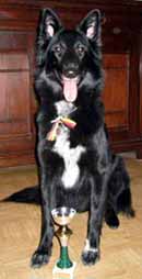 SundayGirl25.10.2003-1,5v.tokopalk.JPG (9768 bytes)