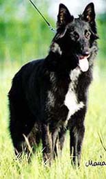 SundayGirlJuly2004-2y3mths.jpg (21008 bytes)