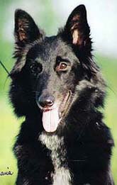 SundayGirlJuly2004-3yr3mths.jpg (18915 bytes)