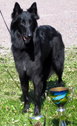 SunshineQueen02.07.2005-3v2kk.4.jpg (132933 bytes)