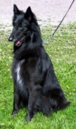 SunshineQueen02.07.2005-S3v2kk.1.jpg (61278 bytes)