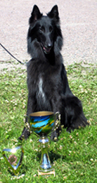 SunsiheQueen-02.07.2005-netti.jpg (60655 bytes)