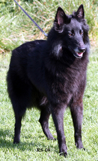 TailTwister13.09.2008-3v3kk.Tazzi.7.jpg (161465 bytes)