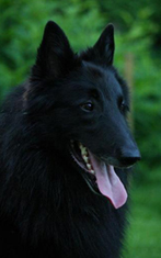 UnderThunder23.06.2009-3v3kk.Uca.head.jpg (49331 bytes)