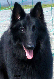 UnderThunder30.06.2007-15kk.Uca.Head.jpg (143176 bytes)