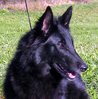 UnrealLady13.10.2007-19kk.Uti.head.jpg (99121 bytes)