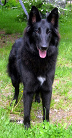 UnrealLady27.05.2007-14kk.Uti4.jpg (81334 bytes)