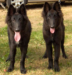 UrbanLegend.UnderThunder26.08.2006-5kk6pv.jpg (46481 bytes)