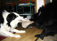 UrbanLegendHelmi2007-11kk.vetokisa.SH.jpg (36856 bytes)
