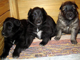 V-gr15.04.2006Vihrea.VogueLady.VerySpecial-3vkoa.jpg (123521 bytes)