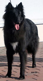 VerballyVertex-25.03.2007-1v.Vikke1.jpg (54888 bytes)