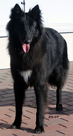 VerballyVertex-25.03.2007-1v.Vikke6.jpg (61317 bytes)