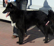 VerballyVertex-25.03.2007-1v.Vikke9.jpg (65663 bytes)