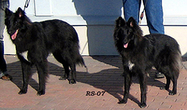 VerballyVertex.VogueLady25.03.2007-1v.Vikke.Valo3.jpg (63134 bytes)