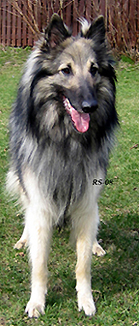 VerySpecial21.04.2008-2v2kk.Vertti.6.jpg (160176 bytes)