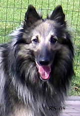 VerySpecial21.04.2008-2v2kk.Vertti.head10.jpg (75832 bytes)