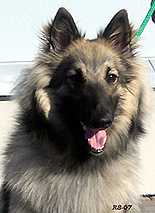 VerySpecial25.03.2005-1v.Vertti.head1.jpg (76197 bytes)