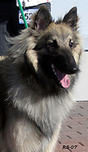 VerySpecial25.03.2005-1v.Vertti.head2.jpg (54557 bytes)