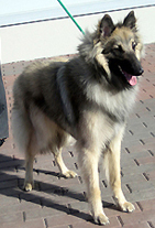 VerySpecial25.03.2005-1v.Vertti2.jpg (86529 bytes)