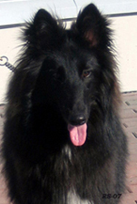 VogueLady25.03.2007-1v.Valo.head1.jpg (50158 bytes)